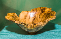9999 - Member Galleries
